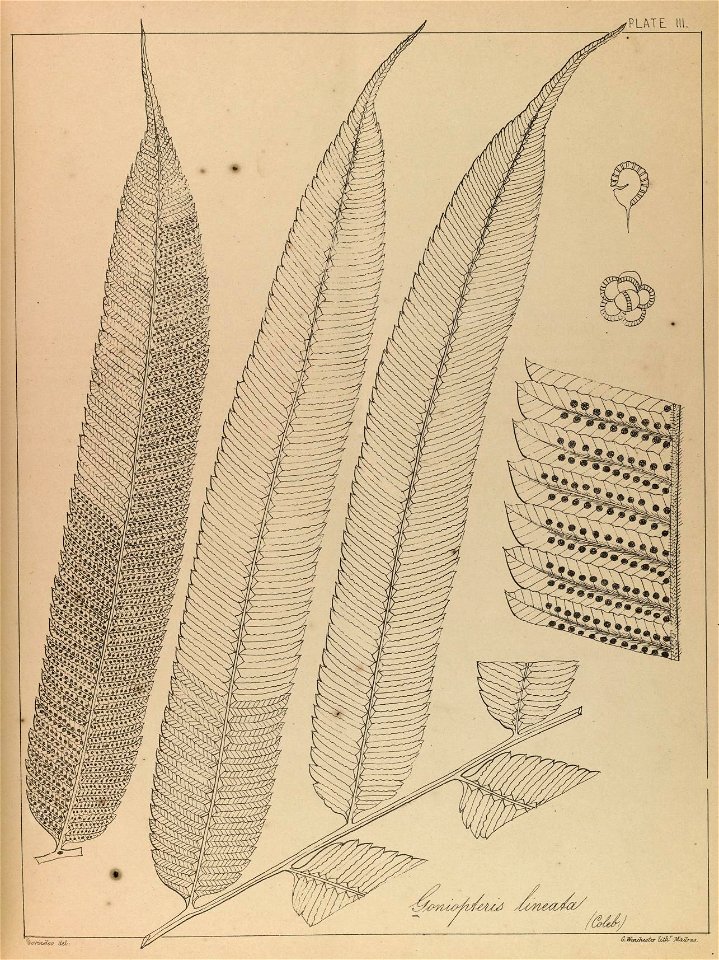n6_w1150