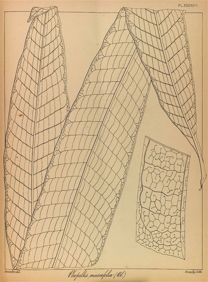 n274_w1150