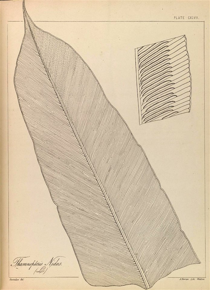 n34_w1150