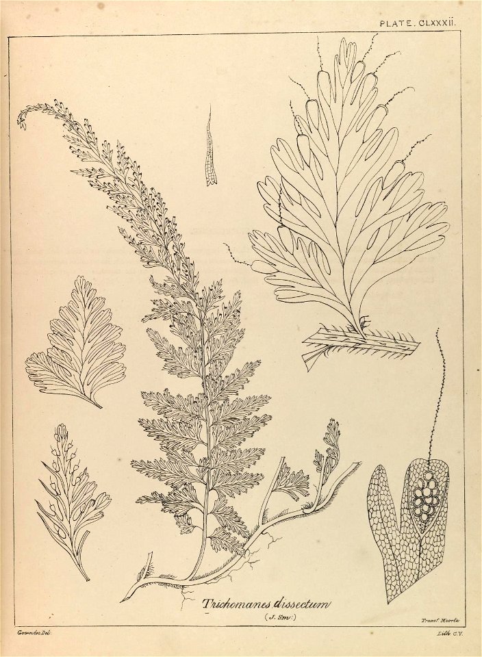 n4_w1150