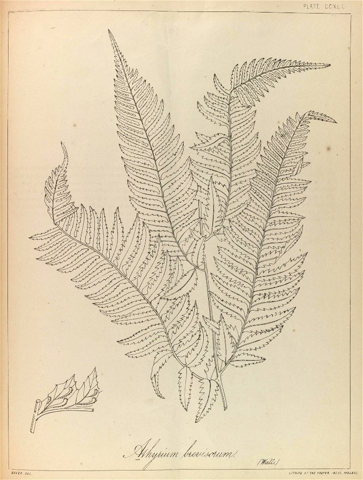 n122_w1150