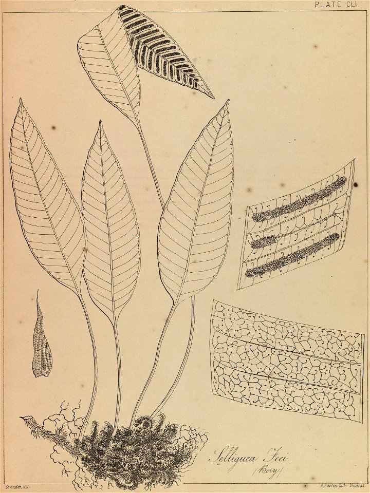 n302_w1150
