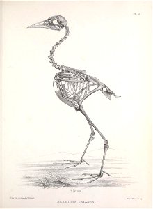 n174_w1150