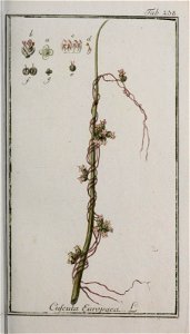 n156_w1150