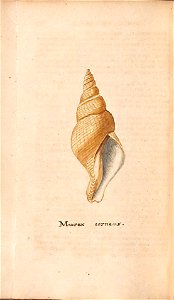 n189_w1150