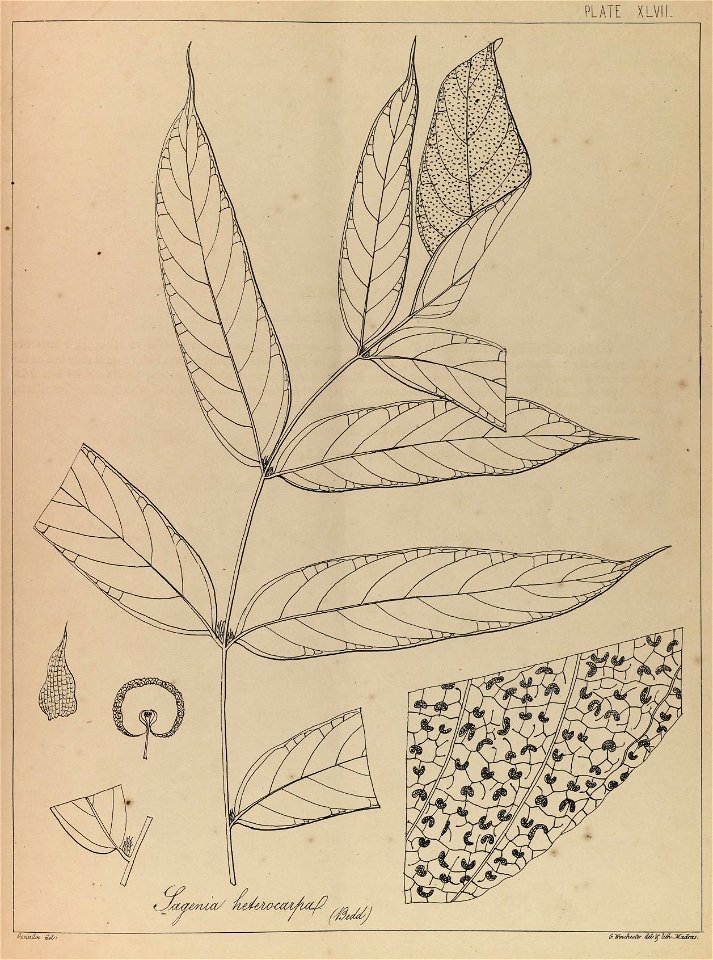 n94_w1150