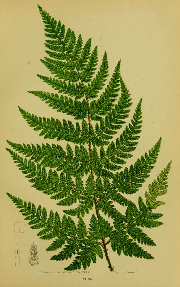 n256_w1150