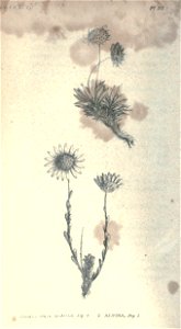 n43_w1150