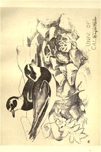 n248_w1150