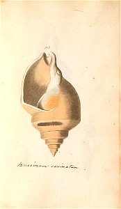 n82_w1150