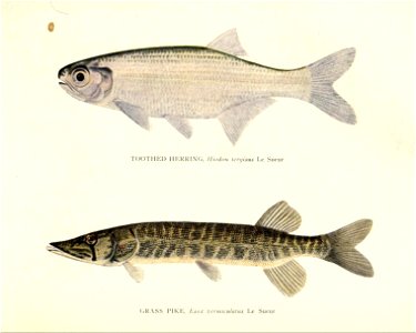 n206_w1150
