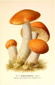 n56_w1150