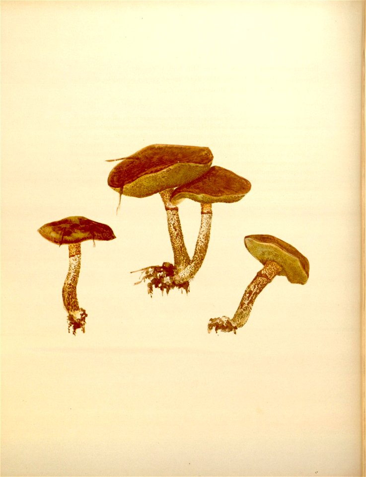 n156_w1150