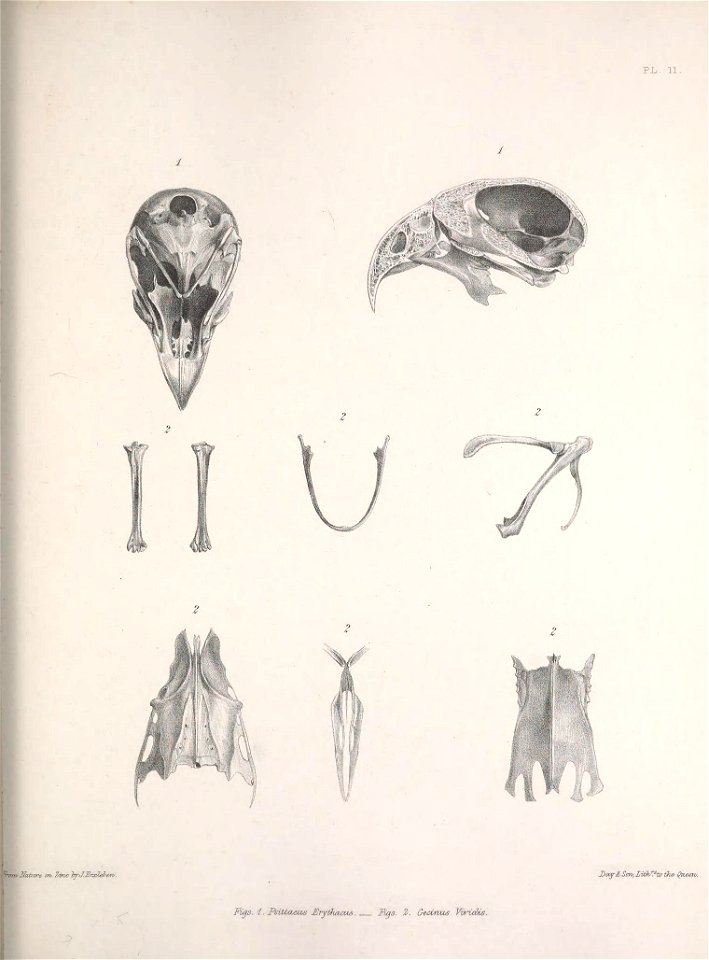 n176_w1150