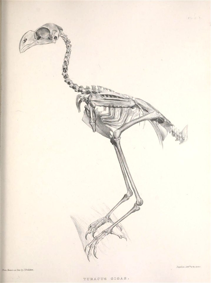 n56_w1150