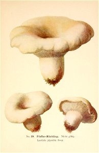 n114_w1150