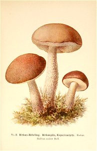 n54_w1150