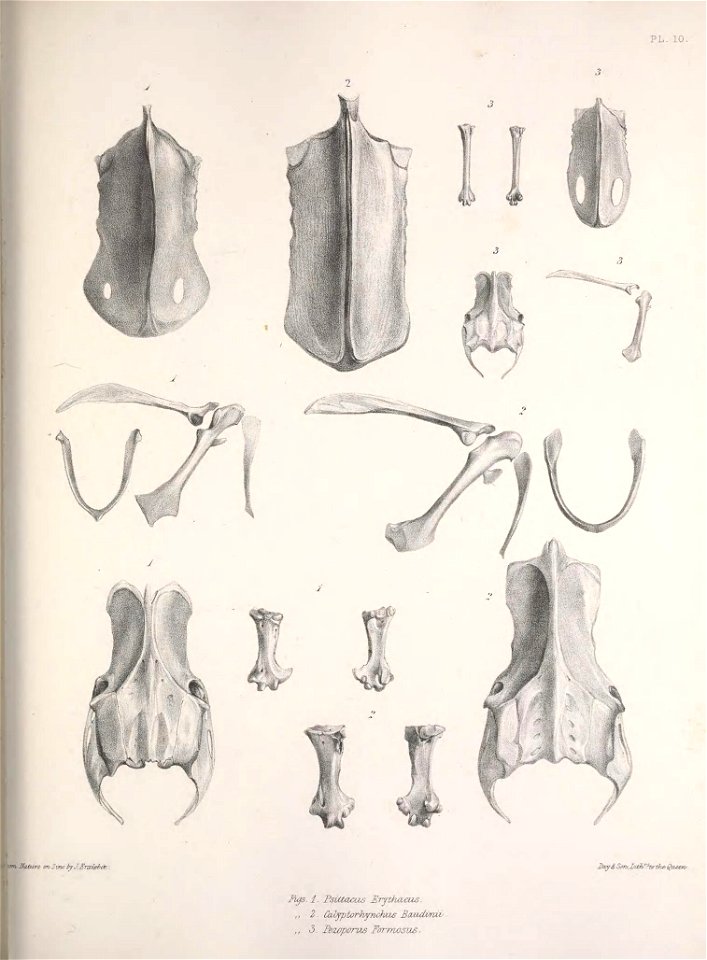 n174_w1150