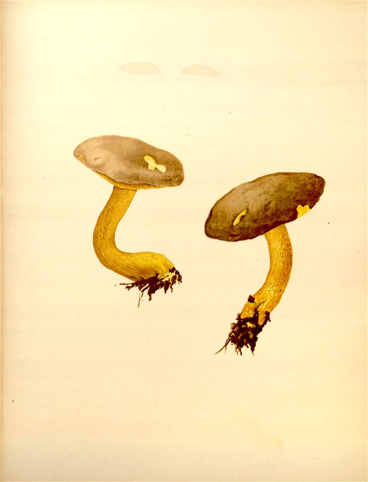 n182_w1150