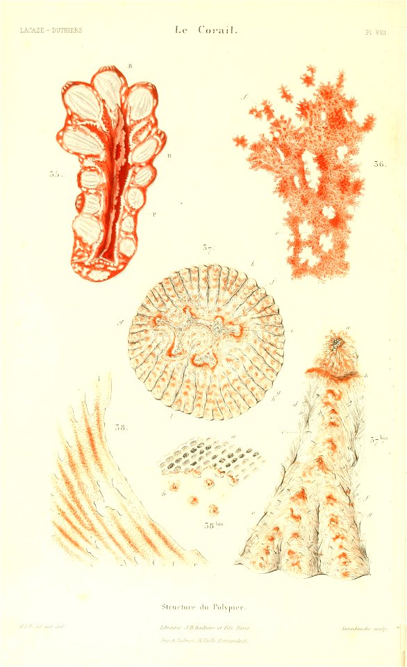 n397_w1150