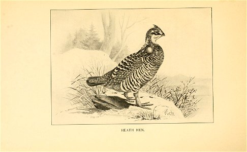 n38_w1150