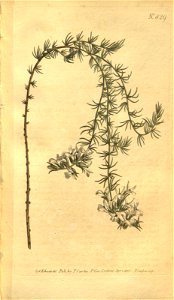 n107_w1150