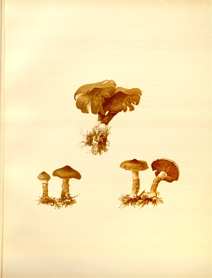 n124_w1150