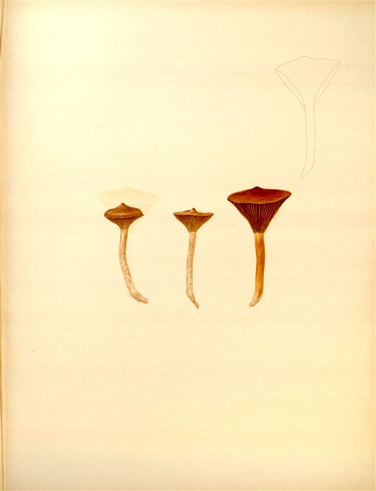 n155_w1150