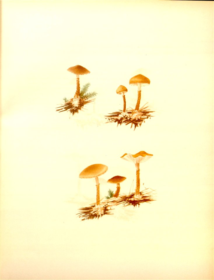 n31_w1150