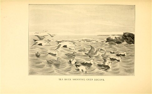 n554_w1150