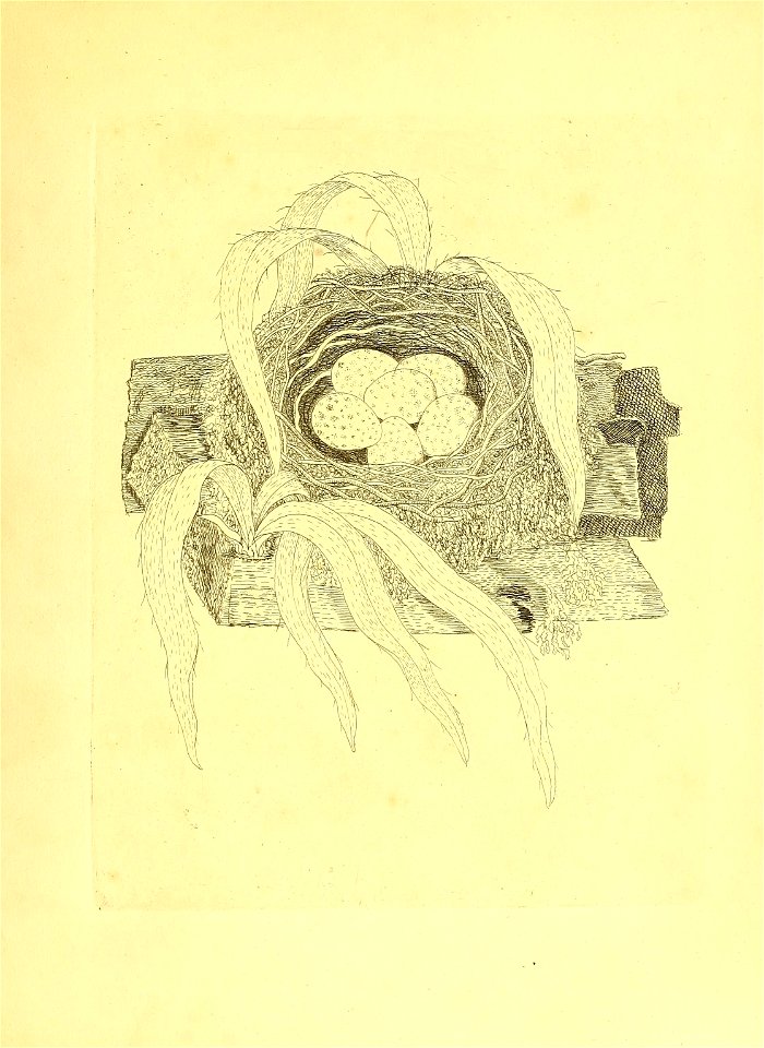 n168_w1150