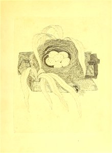 n168_w1150
