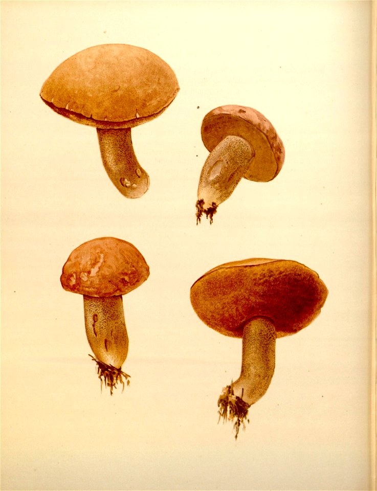 n183_w1150