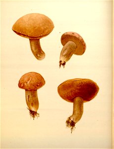 n183_w1150