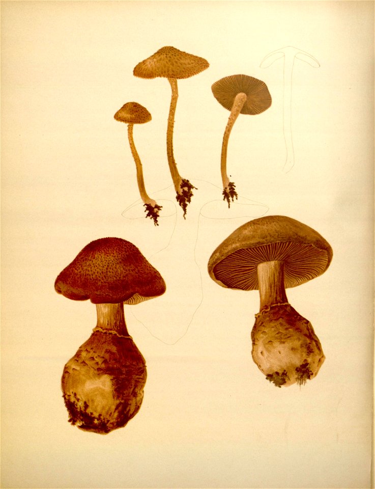n121_w1150