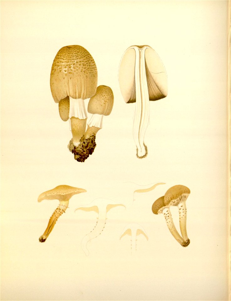 n152_w1150