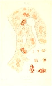 n391_w1150