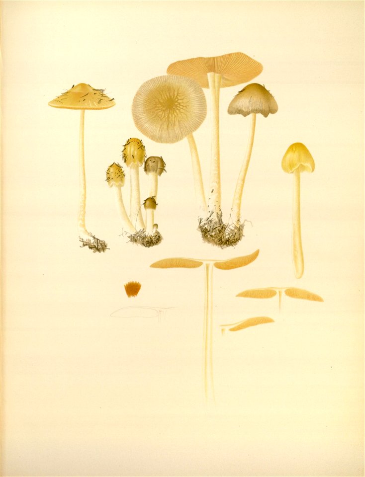 n151_w1150