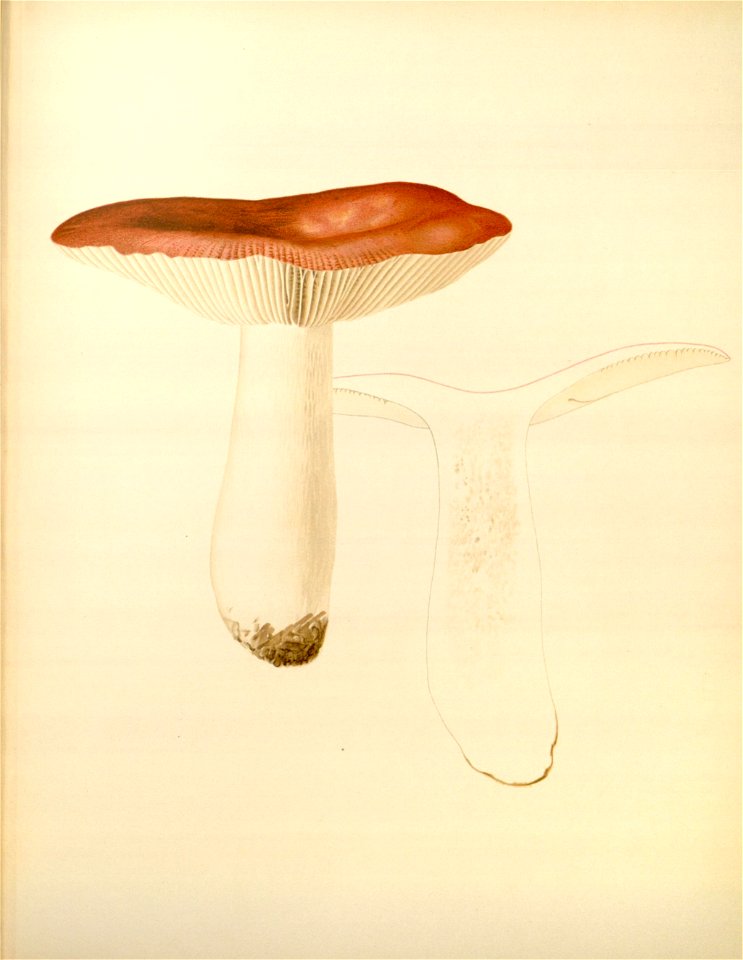 n89_w1150
