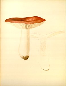 n89_w1150