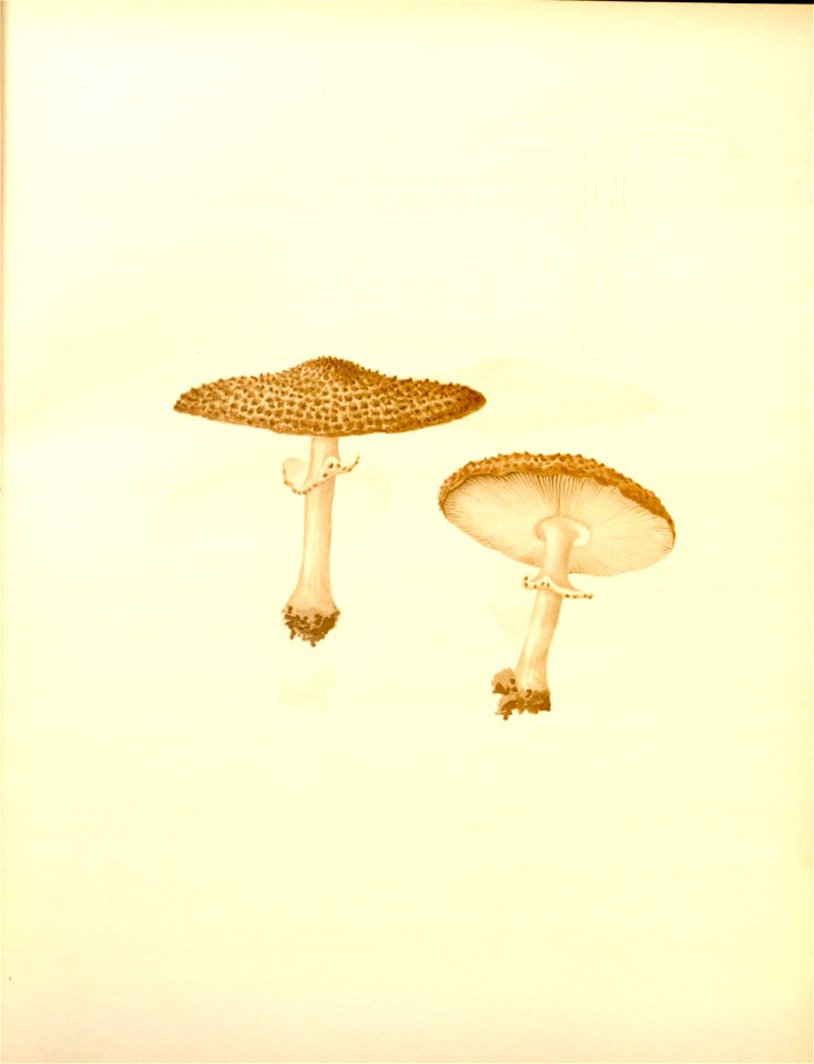 n27_w1150