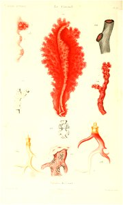 n433_w1150