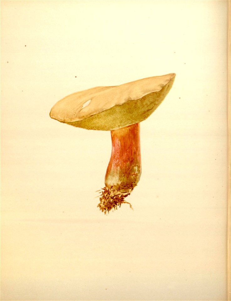 n179_w1150