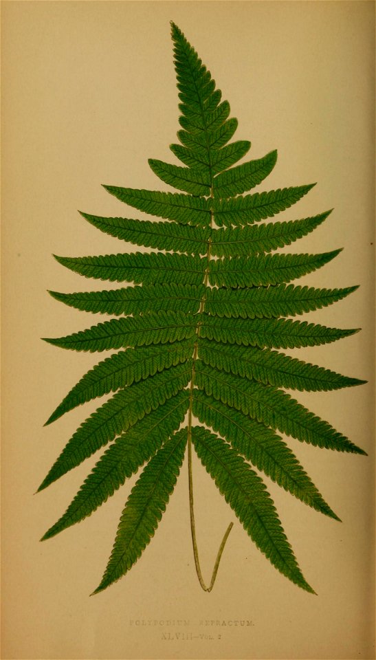 n215_w1150