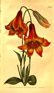 n179_w1150