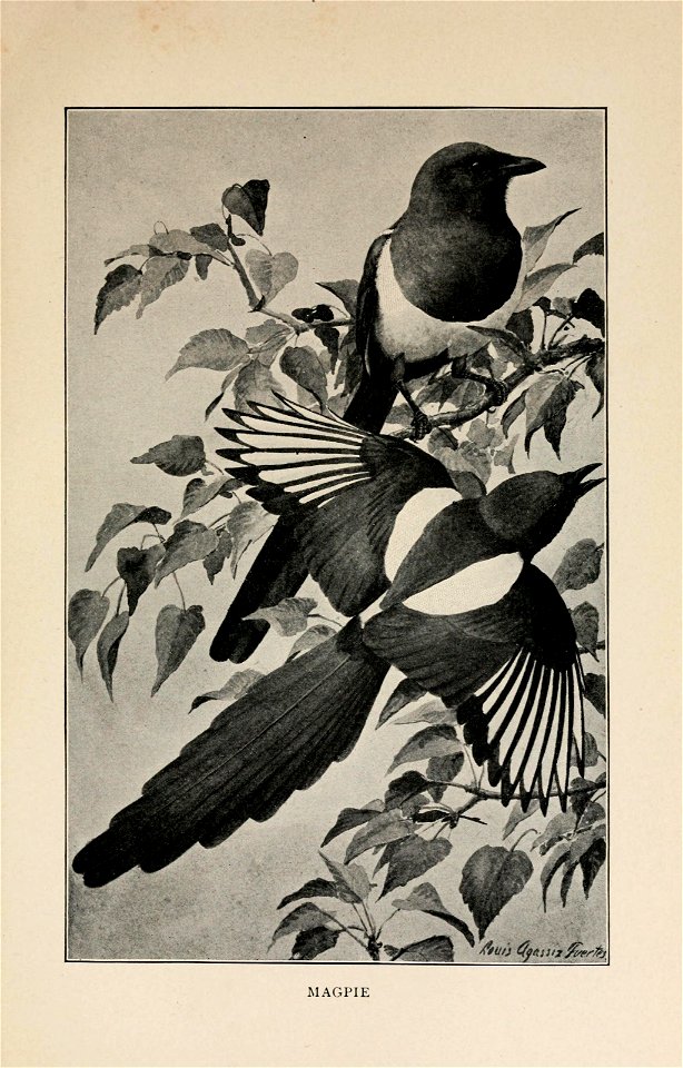 n406_w1150