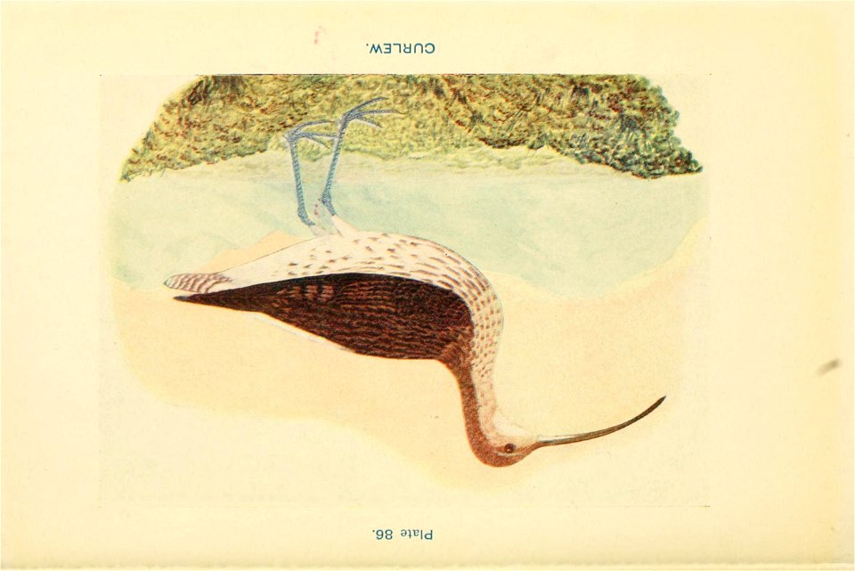 n365_w1150