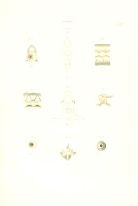 n70_w1150