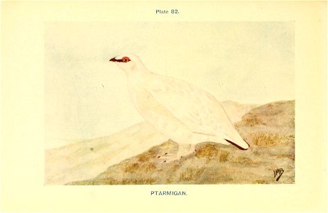 n358_w1150