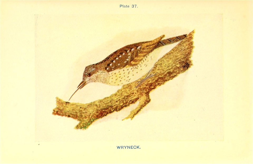 n172_w1150